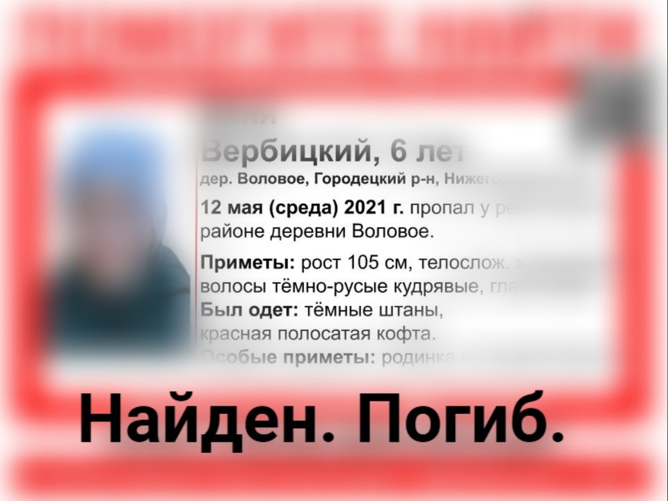 Пропавший в Городецком районе шестилетний мальчик погиб - фото 1