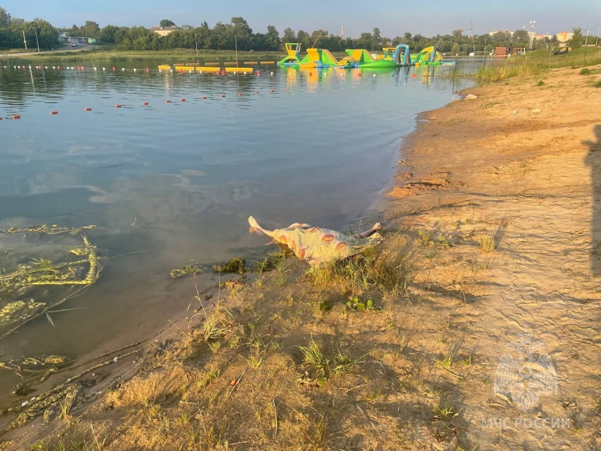 Нижегородец утонул во время плавания на матрасе - фото 1