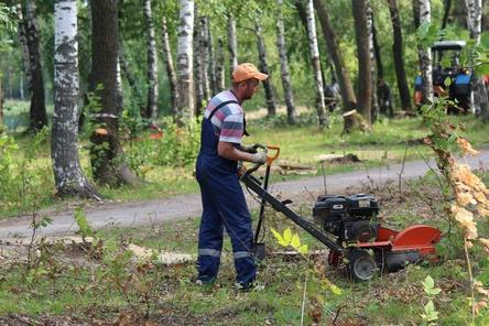 Более 1 млрд рублей потратят на благоустройство нижегородских дворов и общественных пространств