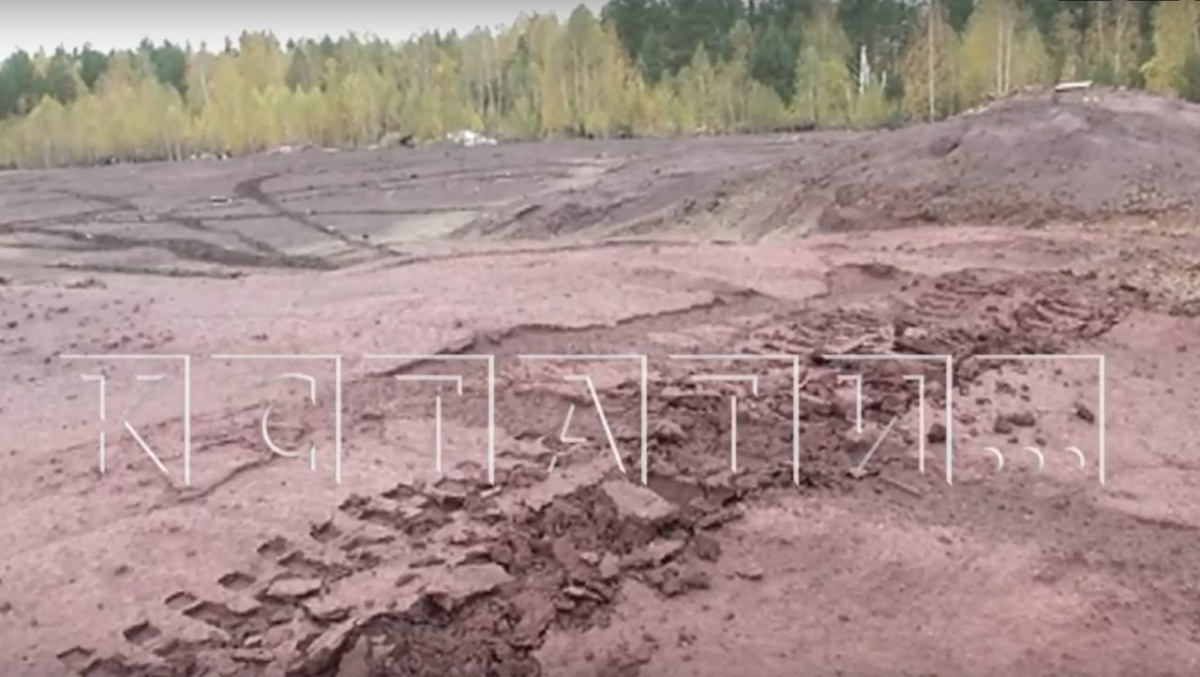 Голое поле с красным песком обнаружили в лесу у Дзержинска - фото 1