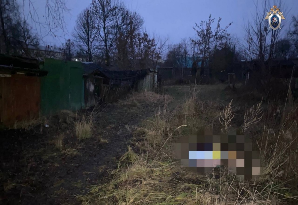 34-летнюю женщину задушили у дома в Нижегородской области - фото 1