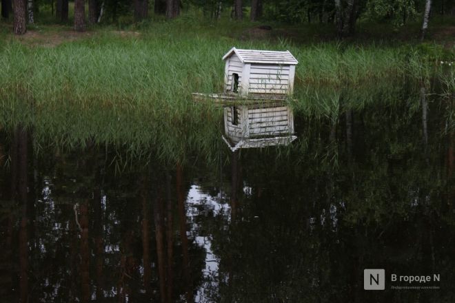 Фоторепортаж: как прошел легендарный &laquo;Выкса-фестиваль&raquo; в Нижегородской области - фото 62