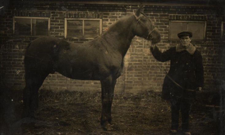 Сергач в Нижегородской области: история и архивные фото города дрессированных медведей - фото 23