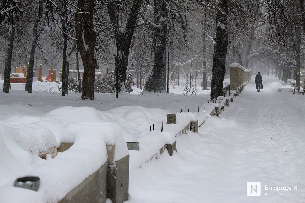 Подрядчику дали 10 дней на завершение работ в нижегородском парке Кулибина  - фото 2