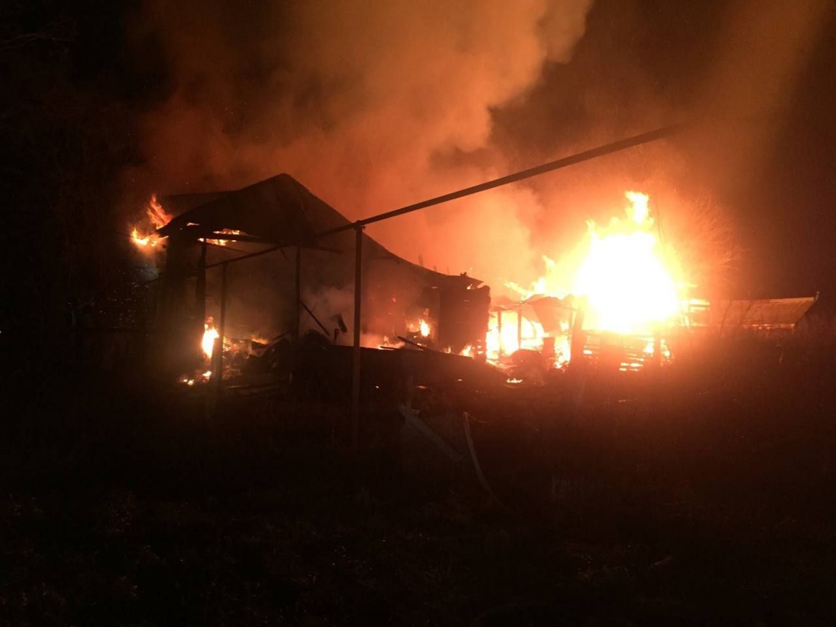Один человек погиб в пожаре в Гагинском районе - фото 1