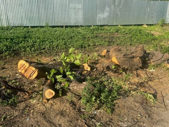 Стройплощадку второй канатной дороги огородили на Заречном бульваре - фото 4