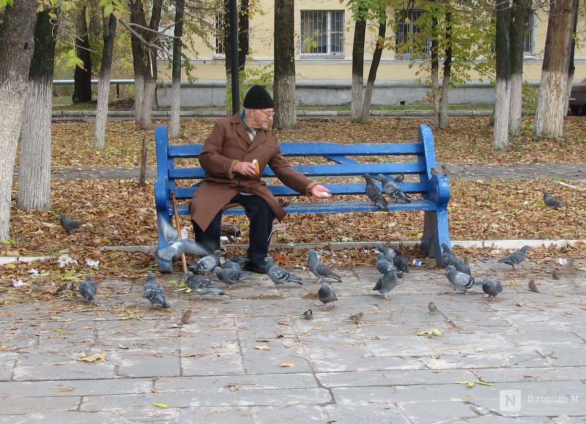 Режим самоизоляции продлен для пожилых жителей Нижегородской области - фото 1