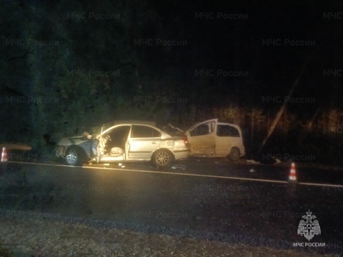 Два человека погибли в ДТП в Нижегородской области - фото 1