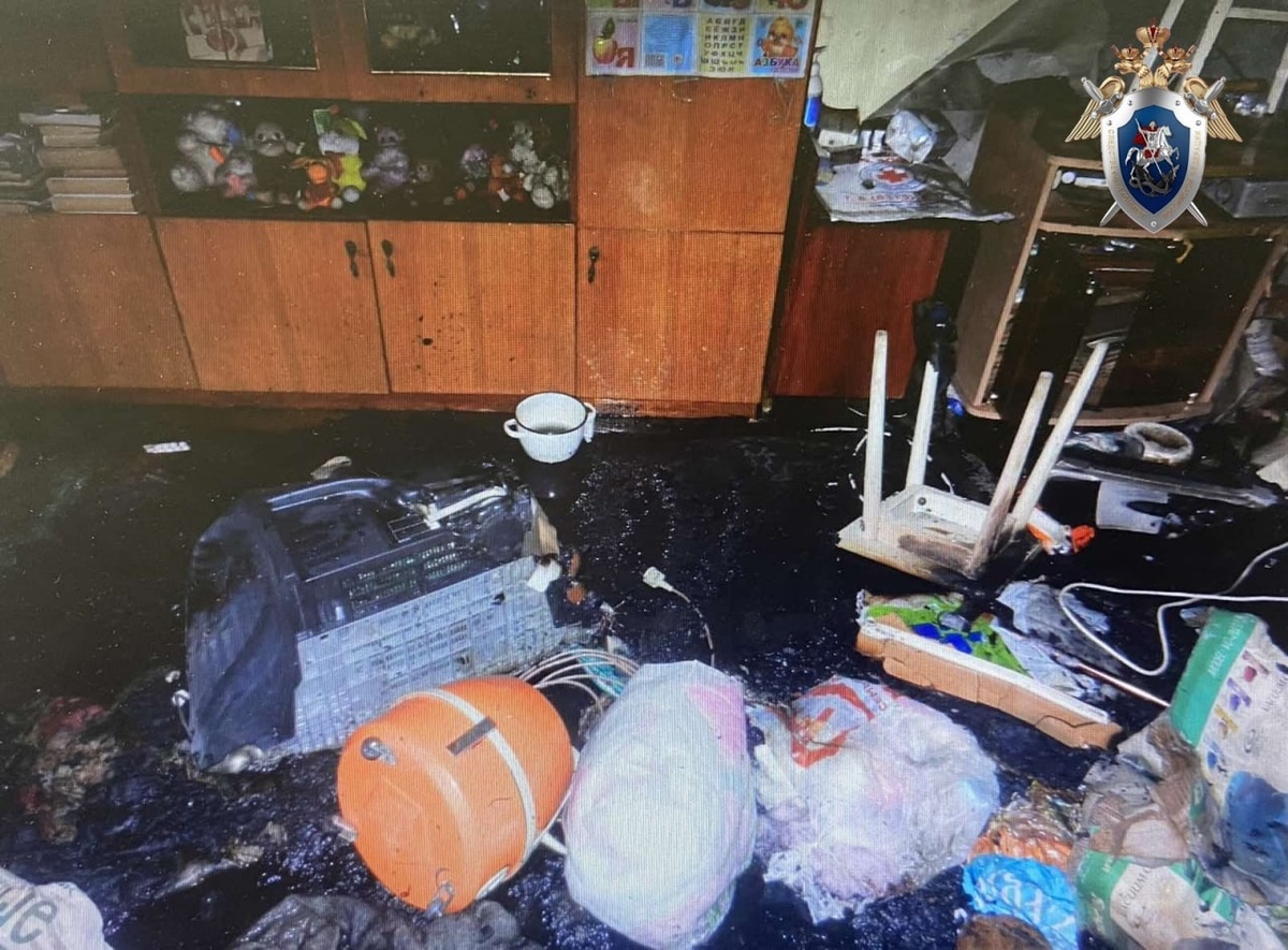 Пенсионерка сгорела в собственном доме в Дзержинске - фото 1
