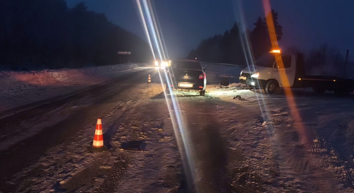 Двое детей пострадали в ДТП в Нижегородской области 6 февраля - фото 2