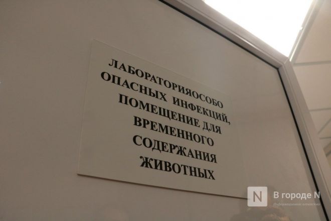 Фоторепортаж: лабораторию для изучения опасных инфекций открыли в Нижнем Новгороде - фото 10