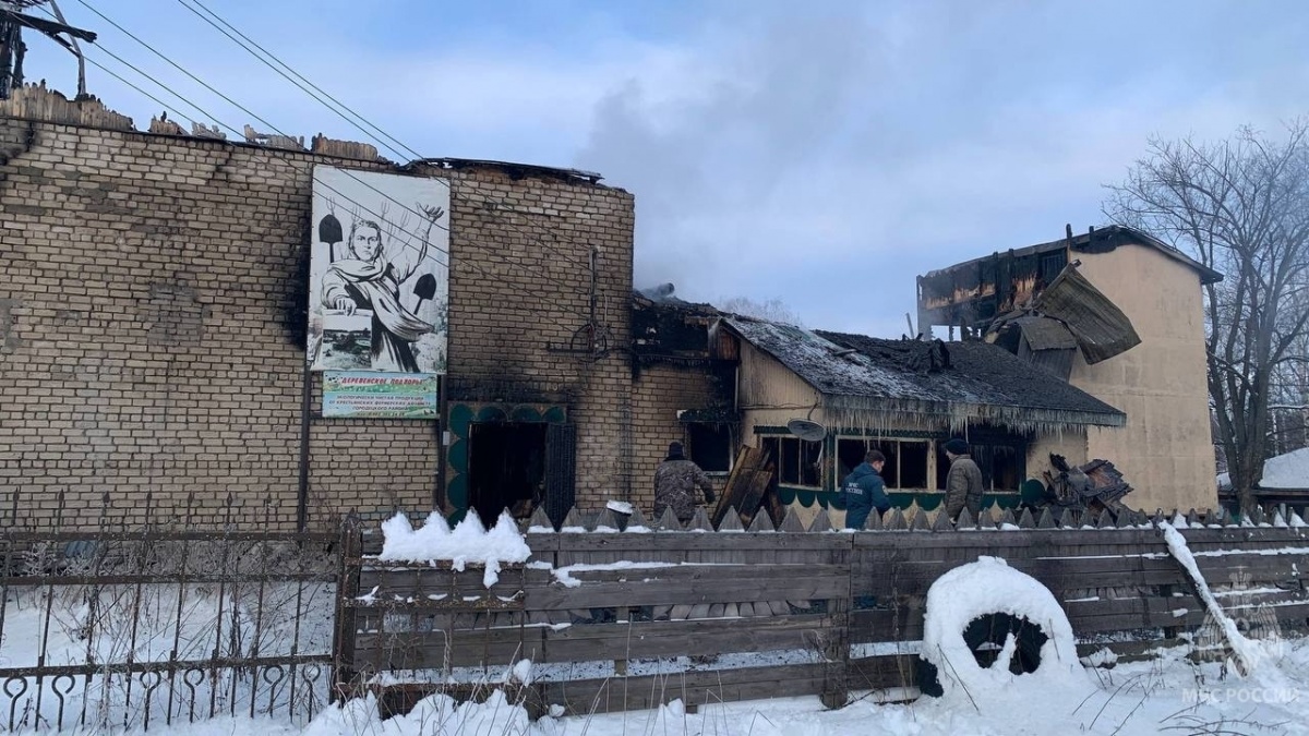 Более 50 животных погибли на пожаре в Нижегородской области - фото 2