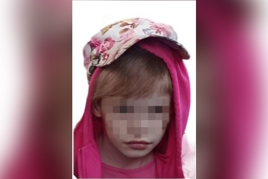 Полиция уточнила, где нашли похищенную матерью из кстовской больницы девочку - фото 1