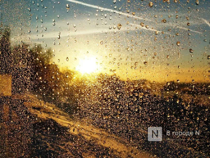 Резкое потепление ожидается в Нижнем Новгороде в первую неделю ноября - фото 1