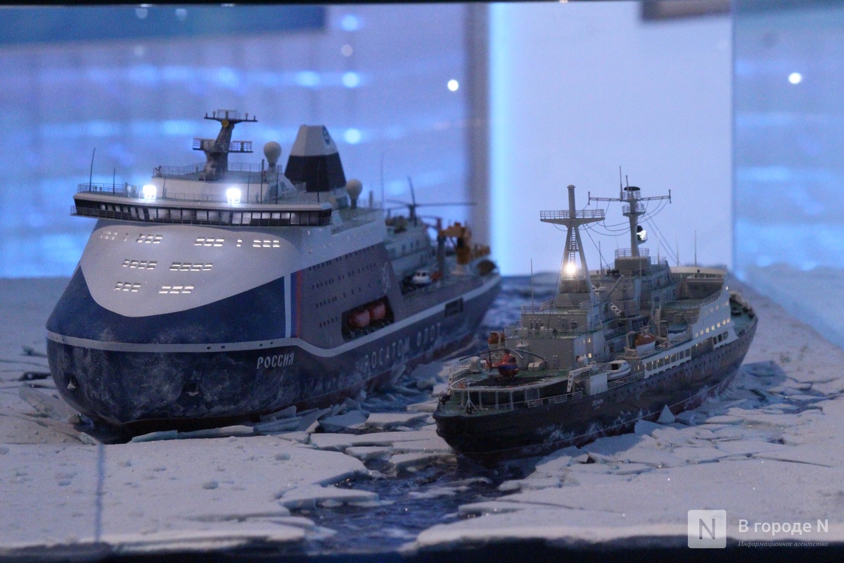 Опубликованы фото с «атомной» выставки в Нижнем Новгороде - фото 1