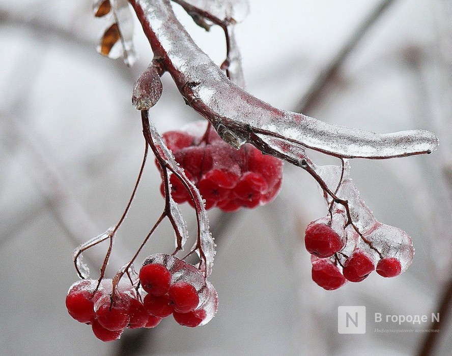 Морозы до -17°С ожидаются в Нижнем Новгороде в выходные