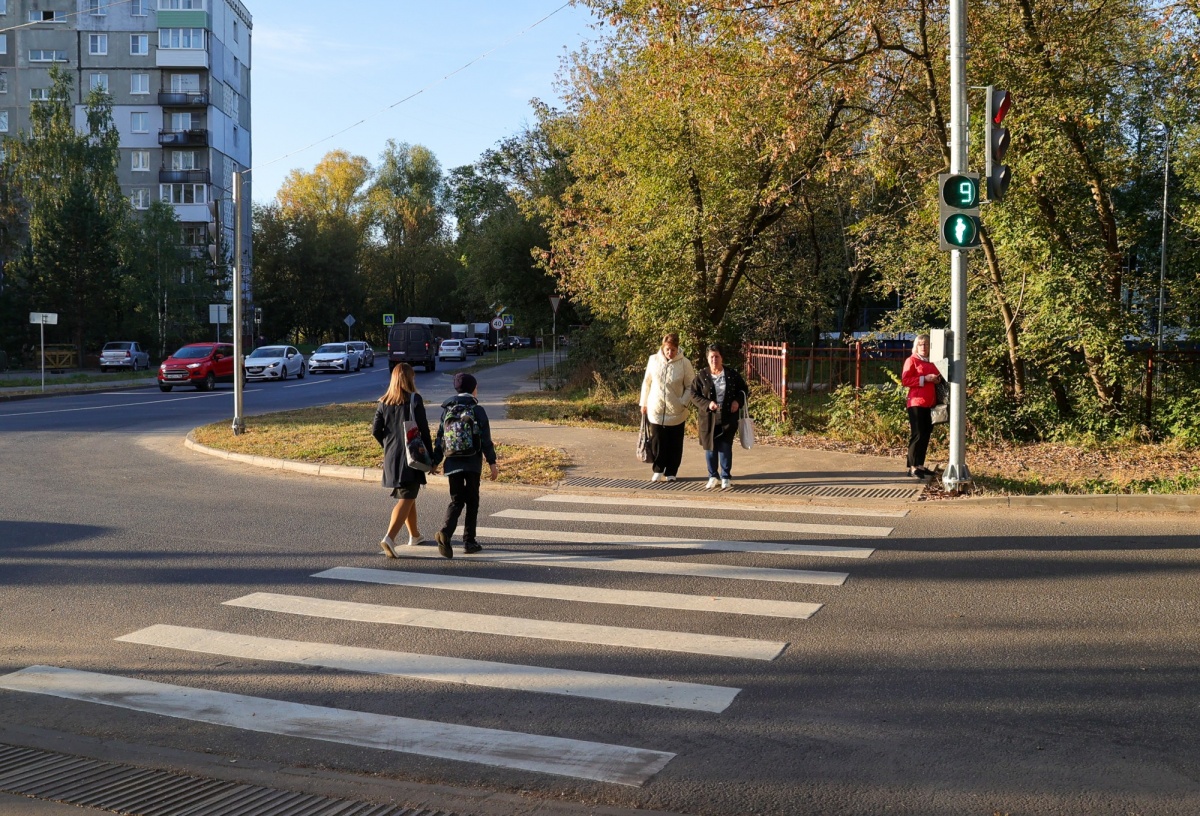 Светофор установили у интерната на улице Голубева в Нижнем Новгороде - фото 1