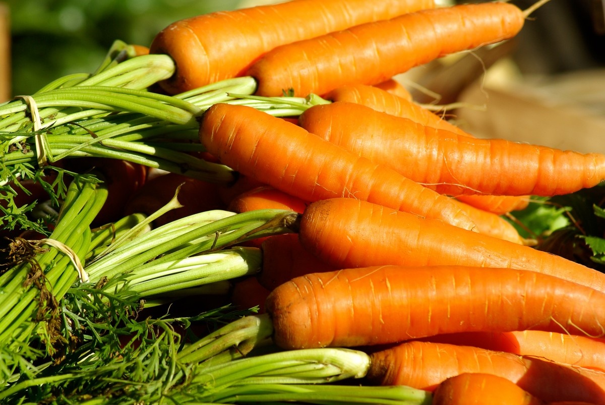 Морковь, огурцы и картофель подешевели в Нижегородской области - фото 1