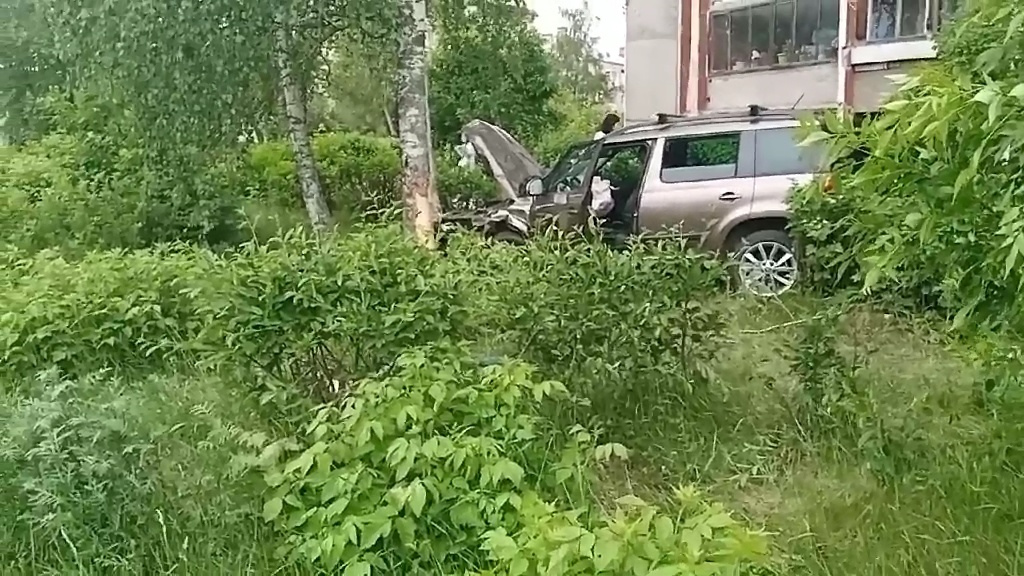 Водитель Skoda погиб в Дзержинске после наезда на дерево
