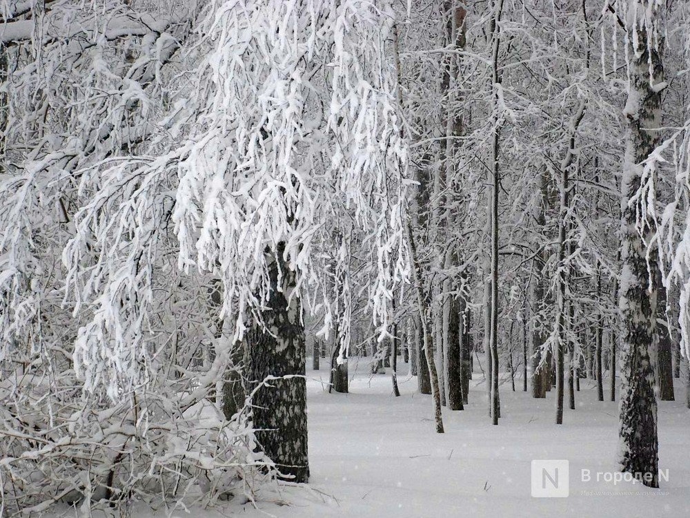 Сильный снегопад надвигается на Нижегородскую область 