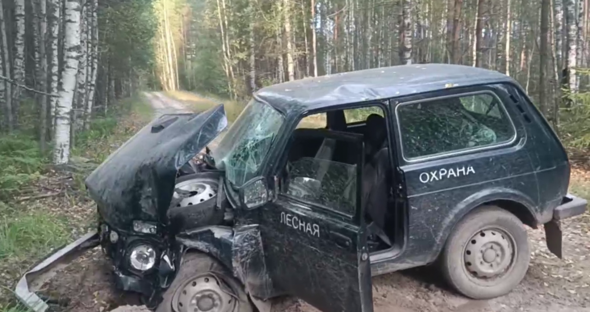 Автомобиль &laquo;Лесохраны&raquo; попал в ДТП в Нижегородской области - фото 1