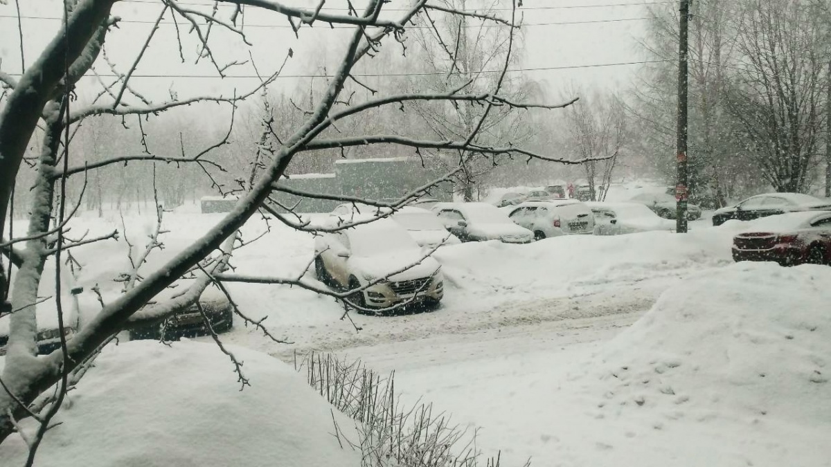 Мокрый снег с дождем будет идти до вечера в Нижегородской области - фото 1